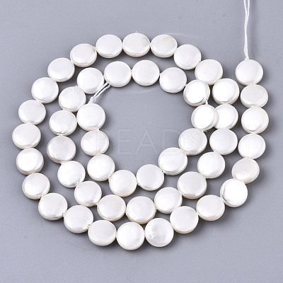 Natural Freshwater Shell Beads Strands SHEL-N026-50A-01-1