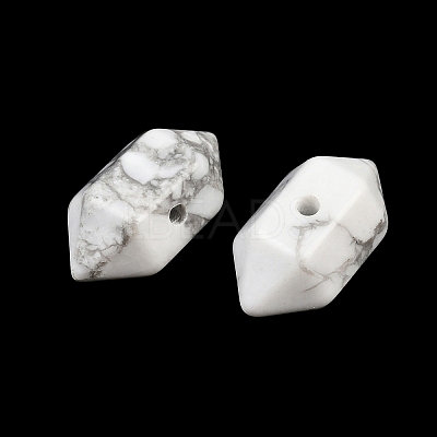Natural Howlite Beads GG-CBA3EE1-02B-1