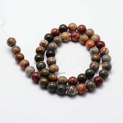 Natural Polychrome Jasper/Picasso Stone/Picasso Jasper Bead Strands G-O155-02A-10mm-1