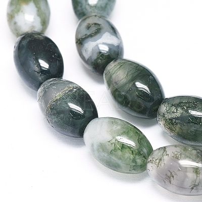 Natural Moss Agate Beads Strands G-D0005-10-1