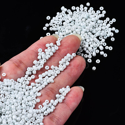 8/0 Glass Seed Beads SEED-S061-A-979-1