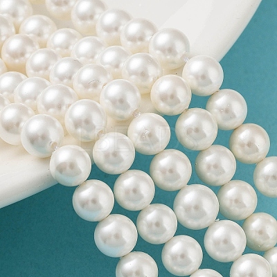 Shell Pearl Bead Strands BSHE-L026-03-6mm-1