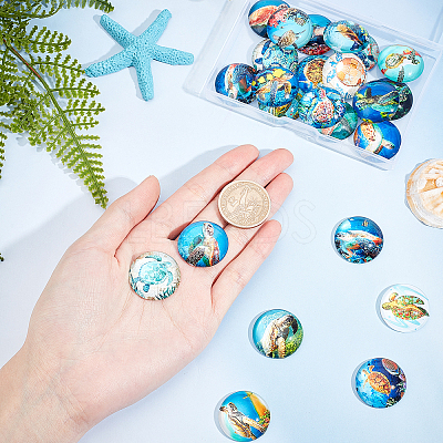 Glass Cabochons GGLA-SC0001-57-1