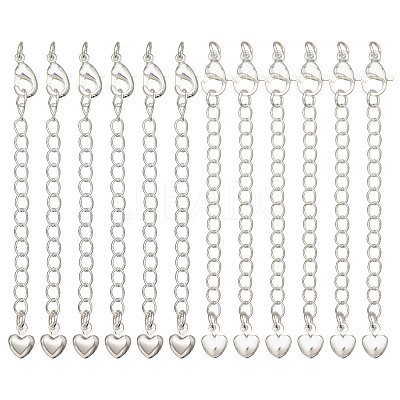 12Pcs 2 Styles Brass Chain Extender KK-CA0003-75-1