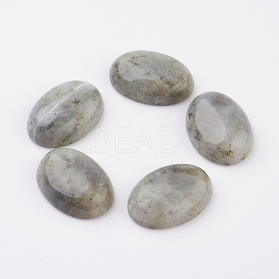Natural Labradorite Flat Back Cabochons G-G741-13x18mm-18-1