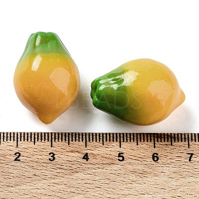 Fruit Opaque Resin Decoden Cabochons RESI-H156-01-05-1