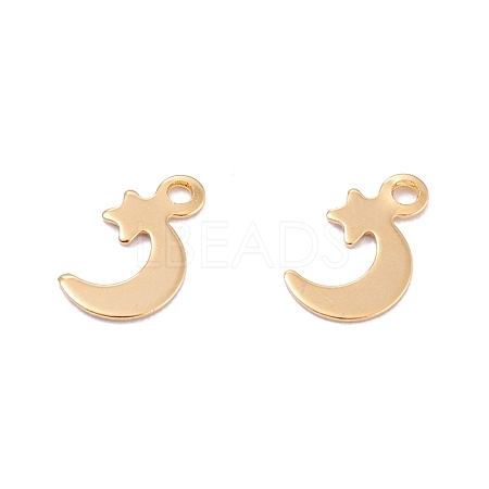 201 Stainless Steel Charms STAS-B001-27G-1