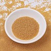MIYUKI Delica Beads SEED-X0054-DB0742-2