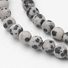 Natural Dalmatian Jasper Bead Strands G-G735-68F-4mm-3