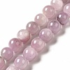 Natural Kunzite Beads Strands G-I346-05-2