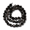 Natural Silver Obsidian Beads Strands G-Z119-A11-02-4