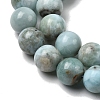 Natural Larimar Beads Strands G-B156-A01-8mm-5