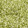 Glass Seed Beads X-SEED-S042-04B-24-3
