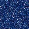 TOHO 11/0 Round Beads X-SEED-TR11-0189-2