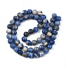 Natural Sodalite Beads Strands G-S279-10-6mm-3