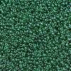MIYUKI Round Rocailles Beads X-SEED-G007-RR0173-3
