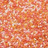 Baking Paint Glass Seed Beads X-SEED-S042-05B-45-3