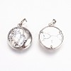 Natural Howlite Pendants G-P378-B06-2