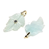 Natural Mixed Gemstone Pendants G-K372-06G-A-3