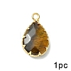 Natural Tiger Eye Pendants G-YW0003-01F-1