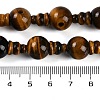 Natural Tiger Eye 3-Hole Guru Beads Strands G-H064-E04-01-5