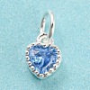 925 Sterling Silver Charms STER-G035-01E-03-1
