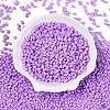 Baking Paint Glass Seed Beads SEED-T006-03K-1