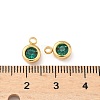 304 Stainless Steel Charms STAS-Z115-01G-17-3