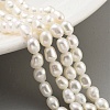 Natural Keshi Pearl Cultured Freshwater Pearl Beads Strands PEAR-P062-25D-1