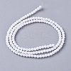 Frosted Opaque Glass Bead Strands FGLA-G002-A11-2