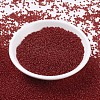 MIYUKI Round Rocailles Beads X-SEED-G007-RR0141-2