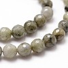 Natural Labradorite Beads Strands G-G736-04-6mm-3