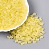 FGB Frosted Transparent Glass Seed Beads SEED-N013-05A-02-1