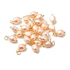 Natural Cultured Freshwater Pearl Pendants PALLOY-TAC0036-04-1