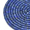 Natural Lapis Lazuli Beads Strands G-P575-B01-4x2mm-3
