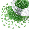 Transparent Glass Bugle Beads SEED-N005-001-C02-1