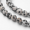 Natural Dalmatian Jasper Bead Strands G-G735-68F-6mm-3