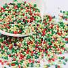 Baking Paint Glass Seed Beads X-SEED-S042-05B-51-1