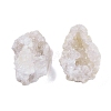 Natural Quartz Geode Cornucopia Mineral Specimen DJEW-M014-02A-2