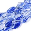 Handmade Lampwork Beads Strands LA-N046-02E-1