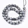 Natural Hawk's Eye Beads Strands G-R462-047B-2