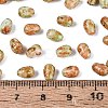Picasso Glass Seed Beads SEED-N012-10D-4