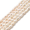 Natural Cultured Freshwater Pearl Beads Strands PEAR-I007-01L-01A-2