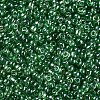 12/0 Glass Seed Beads SEED-A006-2mm-107-2