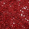 Baking Paint Glass Seed Beads SEED-S042-05B-89-3