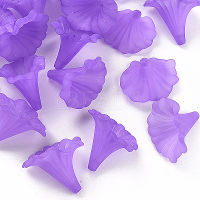 Transparent Acrylic Beads X-BSF796-C26-1