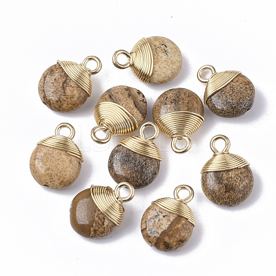 Natural Picture Jasper Pendants G-S359-021D-1