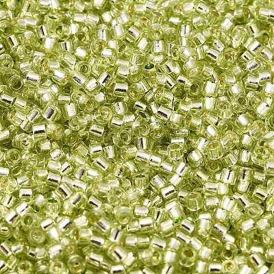 Glass Seed Beads X-SEED-S042-04B-24-1