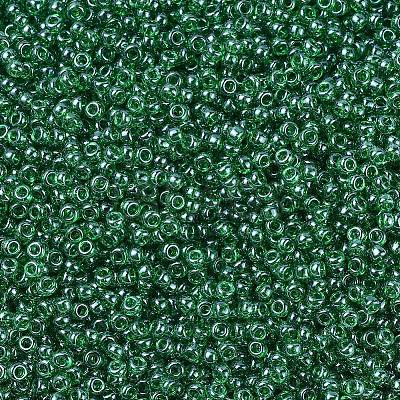 MIYUKI Round Rocailles Beads X-SEED-G007-RR0173-1