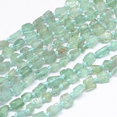 Natural Apatite Beads Strands G-P189-10-1